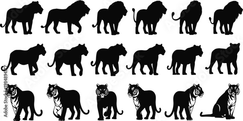 Set of Black Silhouettes of Lions and Tigers in Various Poses and Stances