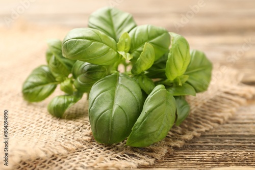 Fresh basil leaves on wooden table, closeup