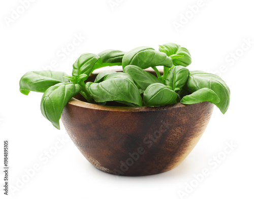 Fresh basil leaves in bowl isolated on white