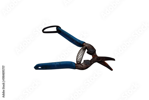 Old rusty pruning shears with blue handles and a spring mechanism