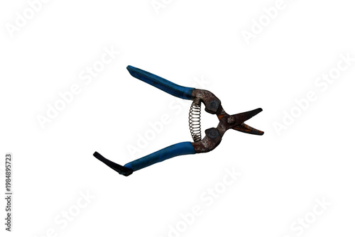 Old rusty pruning shears with blue handles and a spring mechanism