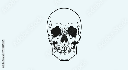 Detailed hand drawn human skull illustration in black and white monochrome style perfect for gothic or medical themed creative design projects.
