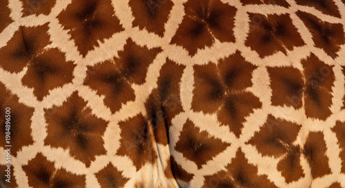 Close-up of giraffe skin pattern with animal print wildlife close-up abstract