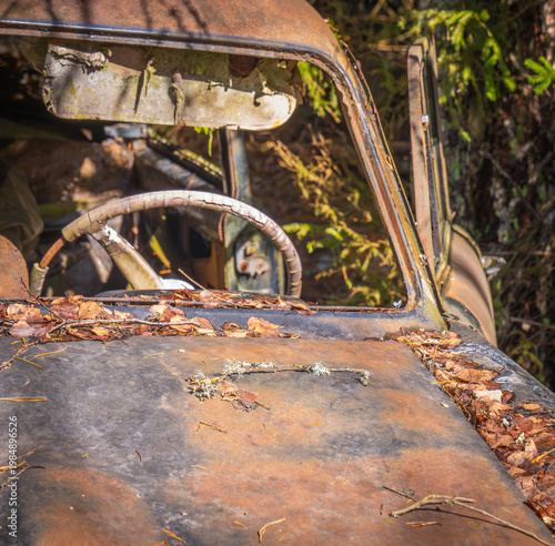 Vintage abandoned cars in forest scrapyard overtaken by moss and decay