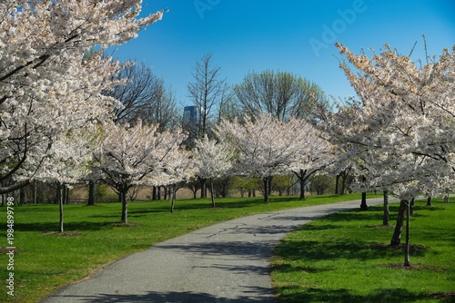 Liberty State Park in Jersey City in early spring.