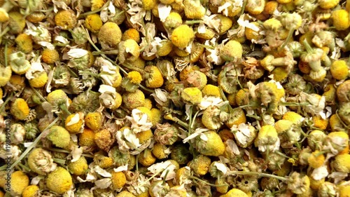 Dried chamomile flower heads. Matricaria chamomilla blossoms. Herbal tea and medicine ingredient. Rotation