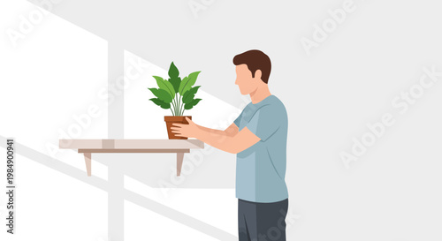 Man placing potted plant on shelf, natural light, home decor, indoor gardening concept