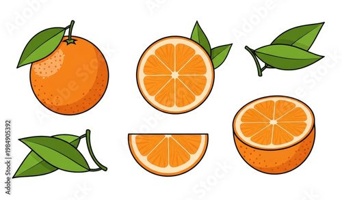Photos Citrus orange vector illustration set fruit slice half whole green leaf