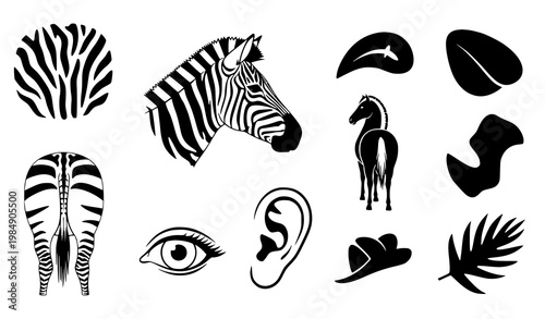 Black white zebra icon set vector animal pattern horse silhouette design