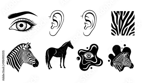 Zebra horse icons vector set black white eye ear abstract shapes