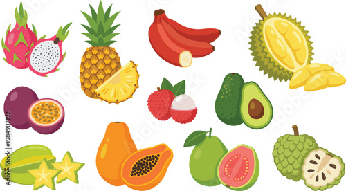 Tropical Fruit Illustration Collection with Pineapple, Banana, Papaya, Dragon Fruit, Durian, Avocado, Guava, Starfruit, Passion Fruit, and Lychee for Exotic Food Design
