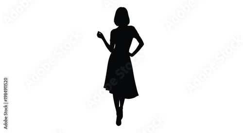 A fashionable woman posing in a full length black silhouette