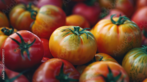 Colorful array of fresh tomatoes showcasing vibrant hues and textures under natural light