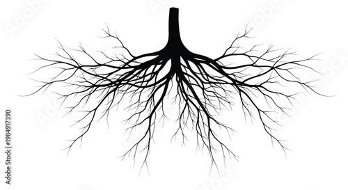 Stylized black silhouette of tree roots against a white background