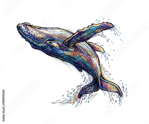 Vibrant humpback whale breaching the ocean surface in a colorful artistic illustration