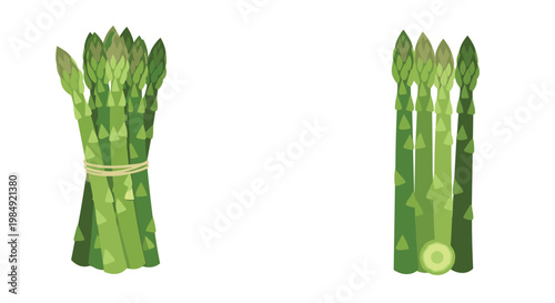 Healthy green asparagus stalks shown in a bundle tied with twine and individually for fresh produce and vegetarian cooking concepts.