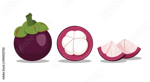 Illustration of exotic mangosteen fruit shown as a whole fruit halved and in delicious bite sized slices on a plain background.