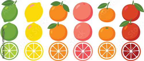Citrus Fruit Icon Collection with Lime, Lemon, Orange, Grapefruit, and Tangerine in Whole and Cross Section Views for Fresh Food Design and Nutrition Graphics