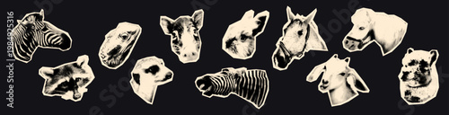Animals heads halftone collage elements set. Pet, domestic, farm and wild animals, goat and horse, raccoon and llama, rabbit and meerkat cut out paper clipping shapes. Modern retro vector illustration