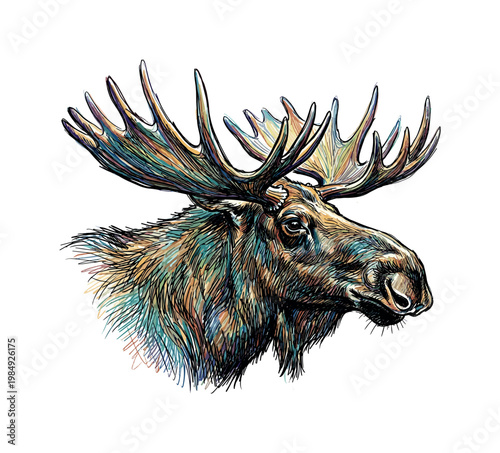 Vibrant, artistic portrait of a moose with colorful, textured antlers and fur