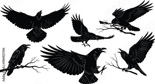 Set of black raven silhouettes in flight and perched on branches on transparent background.