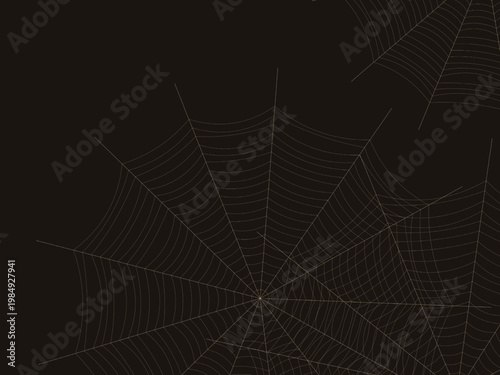 Spider Web Pattern Dew Drop Nature Background