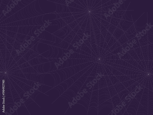 Spider Web Pattern Dew Drop Nature Background