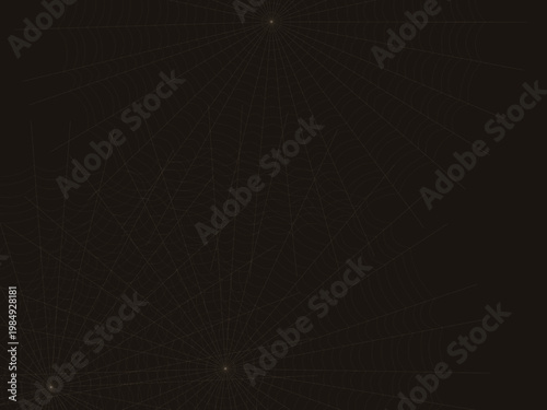 Delicate Spider Web Pattern Geometric Background