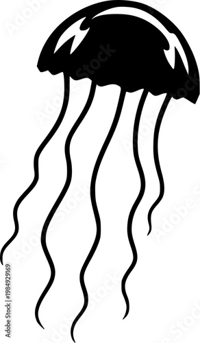 A highly detailed, photorealistic image of a single, translucent jellyfish with long trailing tentacles showcases its delicate internal structure against a pure white background