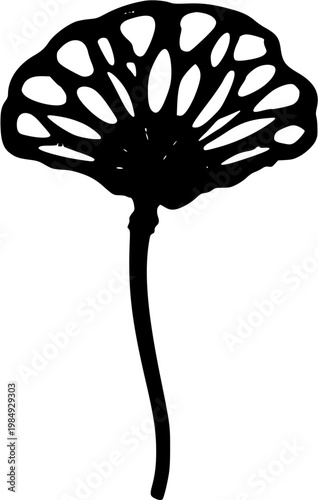 A solitary dried Lotus seed pod stands alone against a pristine white backdrop, its flat top reminiscent of a shower head and empty chambers hinting at the seeds once within