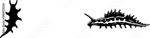 A solitary Blue Glaucus Sea Slug stands alone in an ethereal tableau, its silver and blue wing-shaped body contrasting sharply against the pristine white backdrop