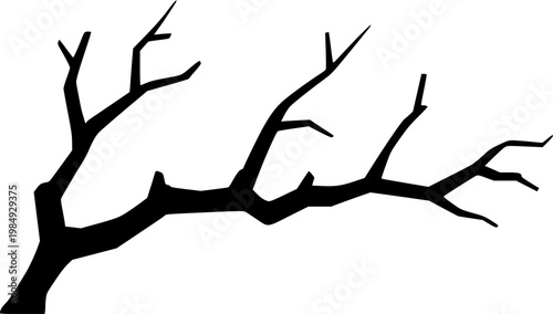 A highly detailed, photorealistic image of a mature Harry Lauders Walking Stick (Contorted Filbert) shrub, its extremely twisted, gnarled, and corkscrew-like branches, completely isolated on a pure