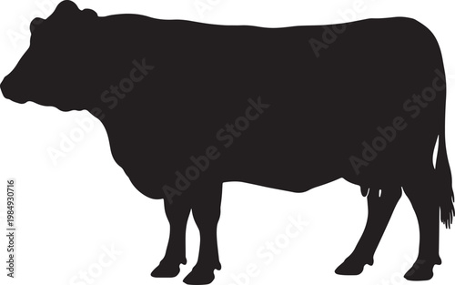 Black silhouette of a standing cow with detailed hooves and udder also transparent background, white background