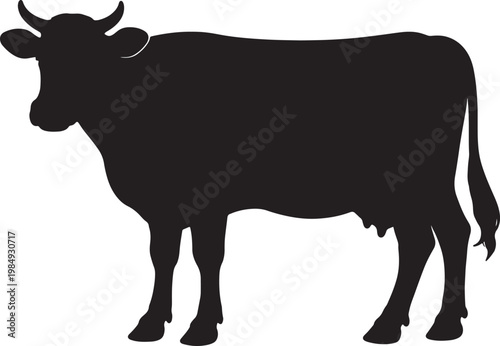 Black silhouette of a standing cow with horns and udder on a white background, also transparent background