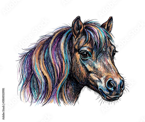 Vibrant horse portrait with colorful mane and expressive eyes, artistic sketch