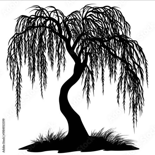 vector Willow tree silhouette black on white background simple shapes svg vector graphic