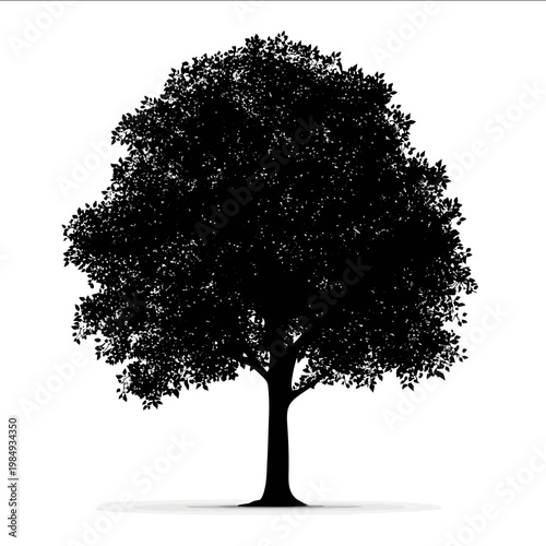 vector Sycamore tree silhouette black on white background simple shapes svg vector graphic
