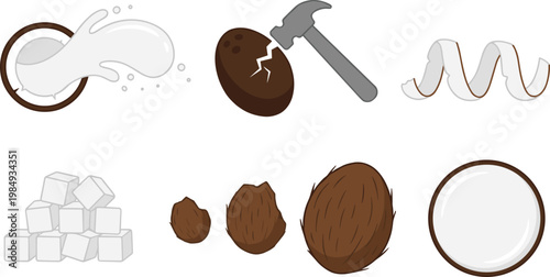 Coconut Processing Illustration Set with Fresh Coconut, Milk Splash, Cracked Shell, Sugar Cubes, and Natural Ingredients in Clean Flat Vector Style