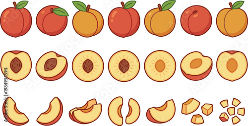 Peach Fruit Icon Collection with Whole, Halved, Sliced, and Segmented Variations for Fresh Food Design, Summer Produce Concepts, and Healthy Nutrition Illustrations