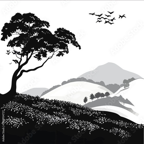 black silhouette Tea plantation on a white backgrounk vector