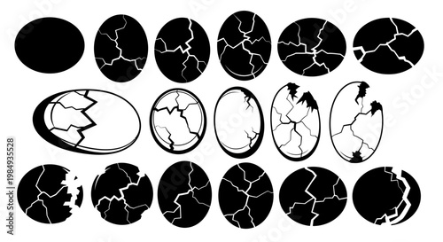 Vintage illustration of cracked eggshells in various stages of development