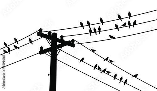 A stark depiction showcases a telephone pole with numerous birds perched along the electrical wires creating a minimalist silhouette high quality professional detailed modern