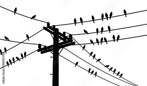 A stark black silhouette depicts birds perched on electrical wires and a utility pole against a bright background silhouette high quality professional detailed modern