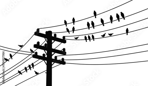 A striking black and white image depicts birds perched on electrical wires and a utility pole creating a minimalist silhouette high quality professional detailed