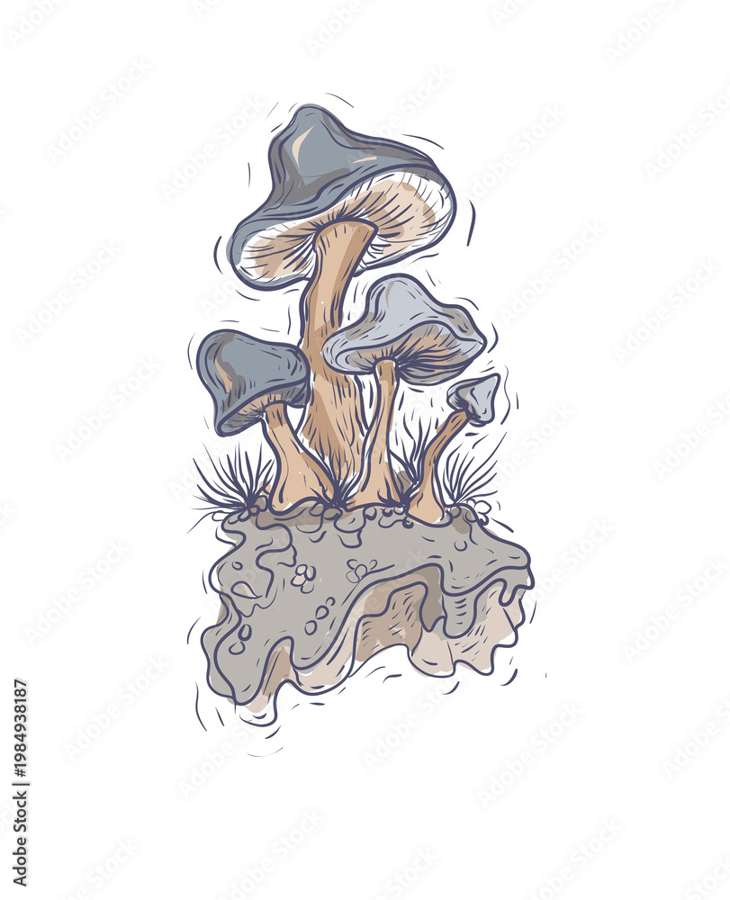 Naklejka premium Detailed hand-drawn pencil illustration of fantastic mushrooms. The artwork features mystical fungi with organic textures, twisted branches, and complex root systems. Black and white fine art graphics