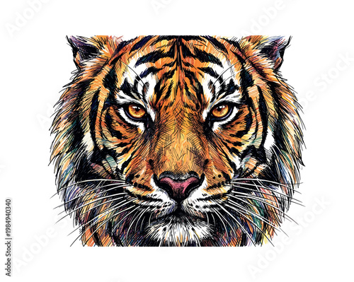 Vibrant tiger face illustration with intense gaze and colorful fur details