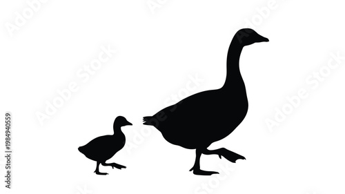 A mother goose and chick depicted in striking black silhouette