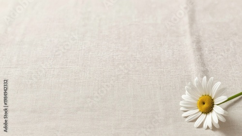 Single White Daisy Flower on Textured Beige Linen Fabric Background with Copyspace