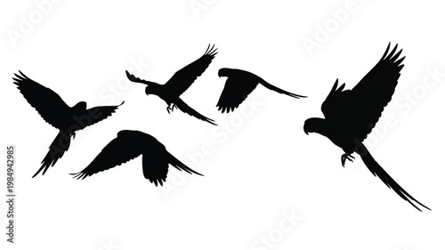 A flock of birds in flight depicted as a striking black silhouette