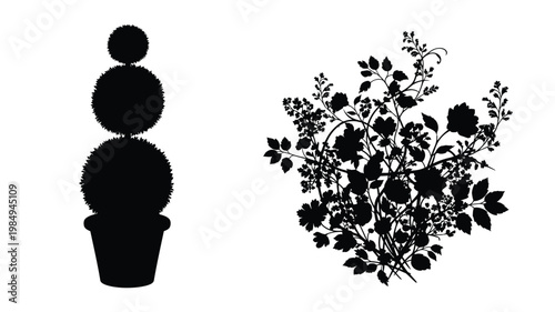 Elegant potted topiary and floral arrangement in stark silhouette